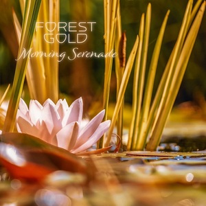 草逼动🔞🔞流
